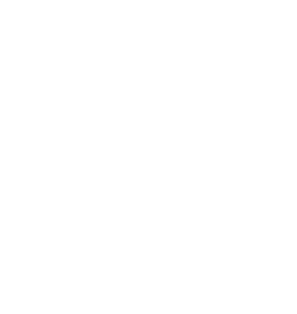 AD House Cleaning LLC